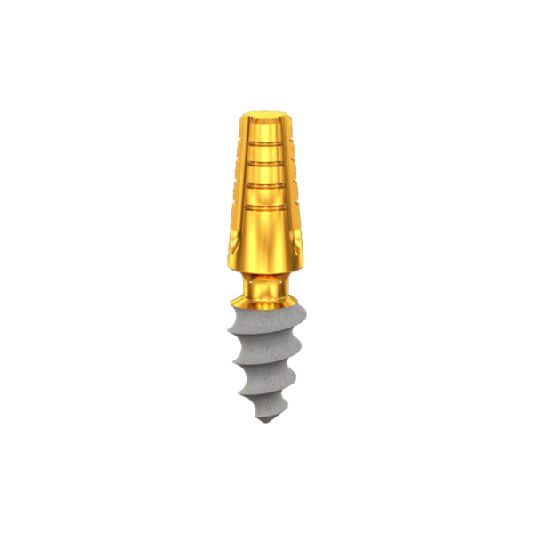 CP4006, Length 6mm