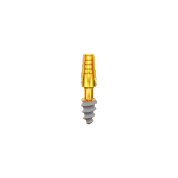 CP4006S, Length 6mm