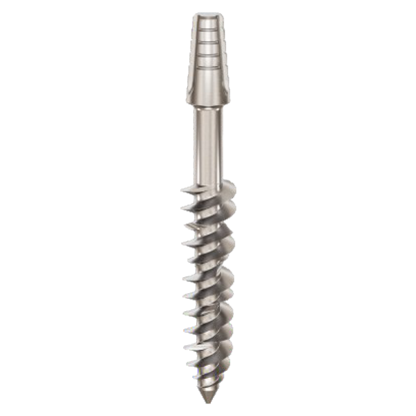 BP-4626, Length 26mm