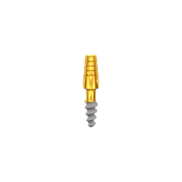 CP3006 Length 6mm