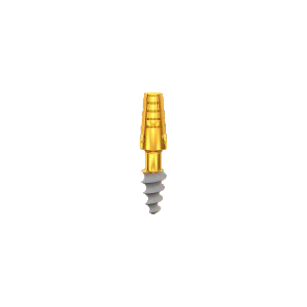 CP3506, Length 6mm