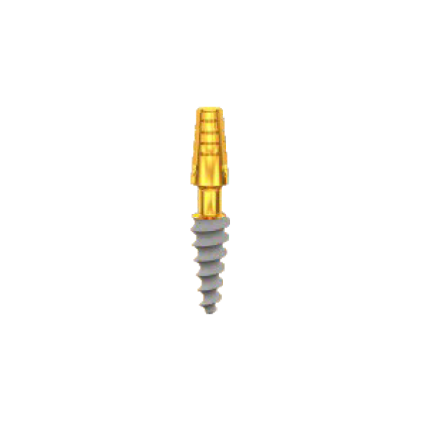 CP4010, Length 10mm