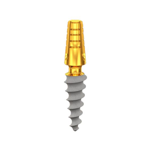 CP4010S,  Length 10mm