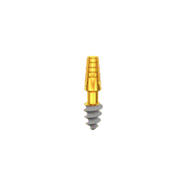 CP4506, Length 6mm