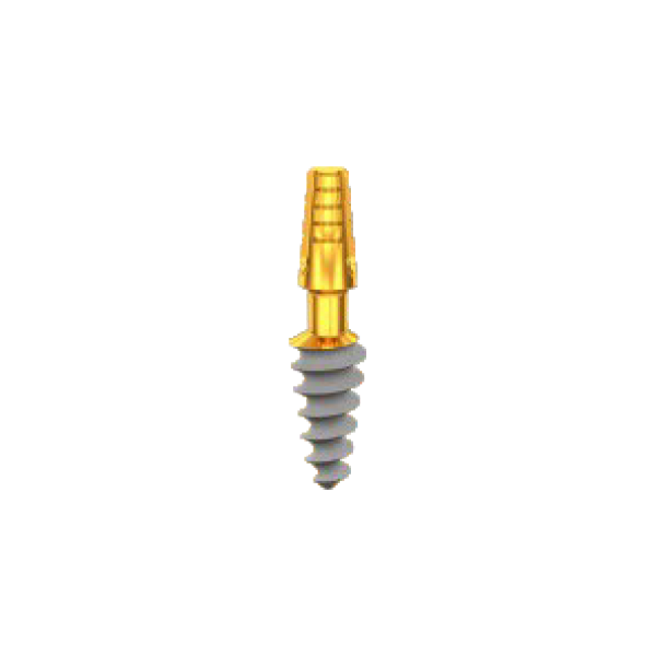 CP5010, Length 10mm