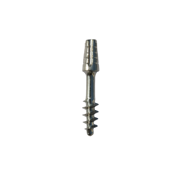 BP-3606